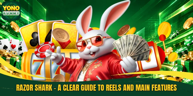 Razor Shark - A Clear Guide To Reels And Main Features