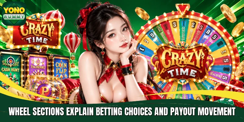 Wheel sections explain betting choices and payout movement
